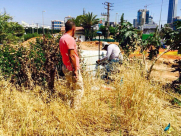 بالصور: الهيئة الاسلامية تطلق مشروع مسح الأوقاف الاسلامية في مدينة يافا وضواحيها